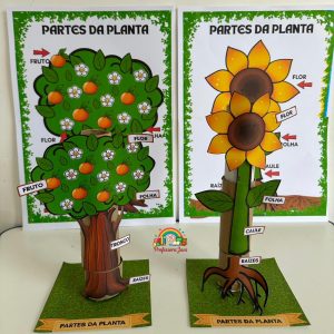 PARTES DA PLANTA